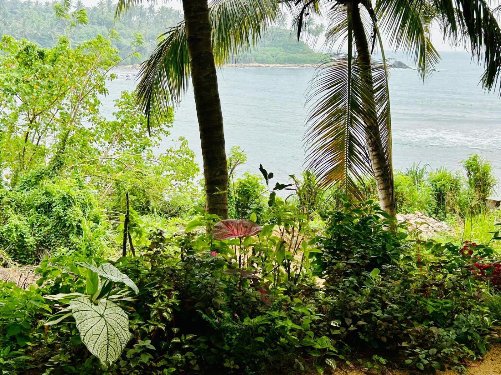 Surf Paradise Tangalle Zewnętrze zdjęcie