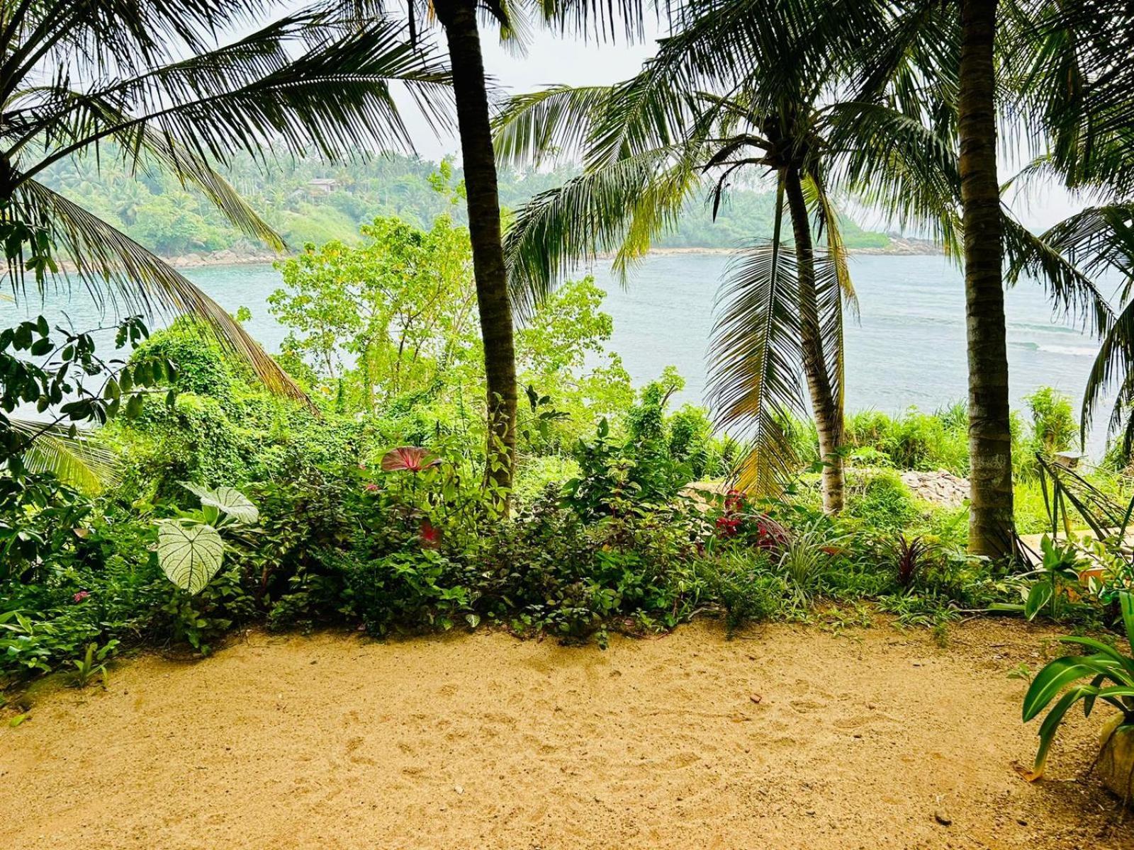 Surf Paradise Tangalle Zewnętrze zdjęcie