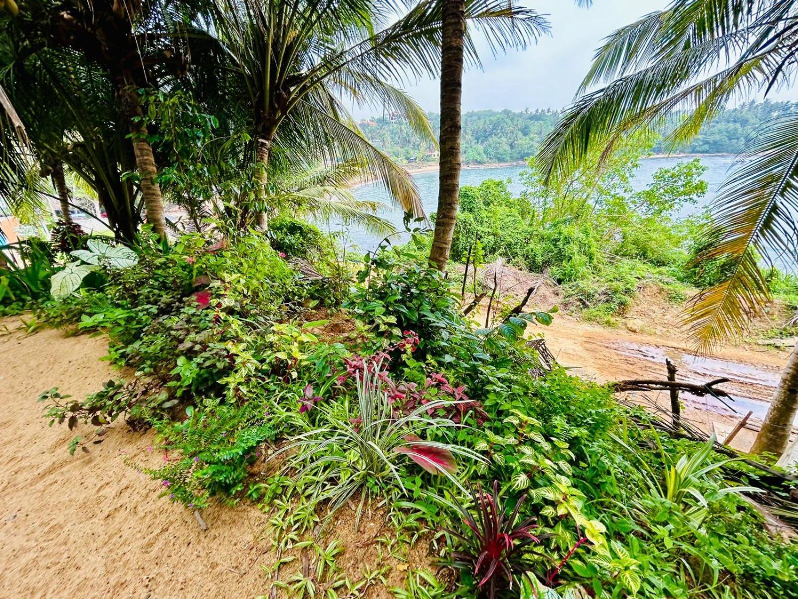 Surf Paradise Tangalle Zewnętrze zdjęcie