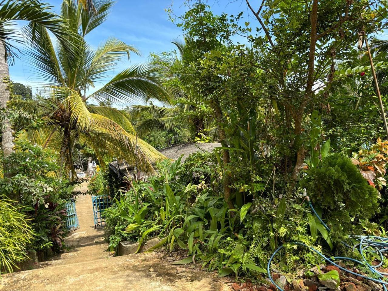 Surf Paradise Tangalle Zewnętrze zdjęcie